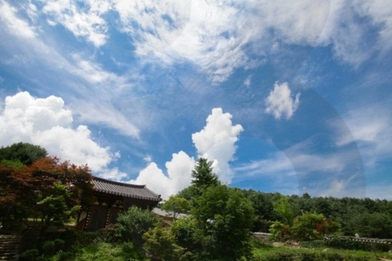 白蓮寺（加平）（백련사（가평）） (10/15)