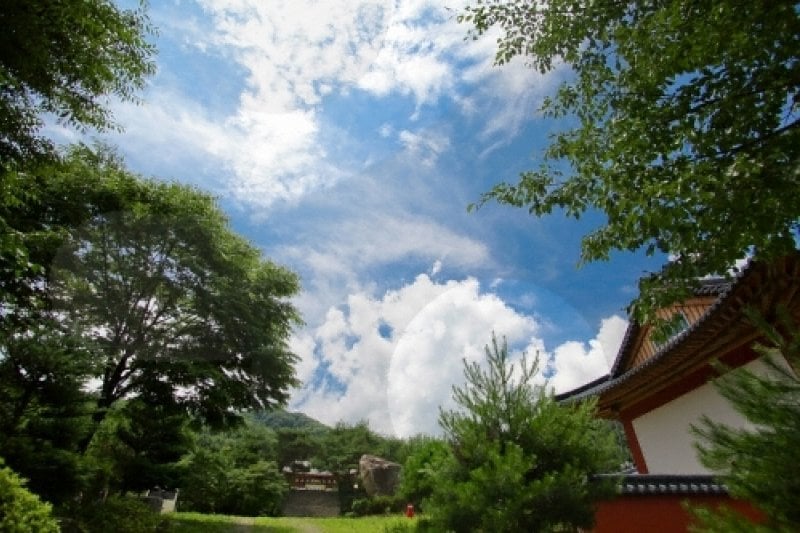 白蓮寺（加平）（백련사（가평）） (15/15)