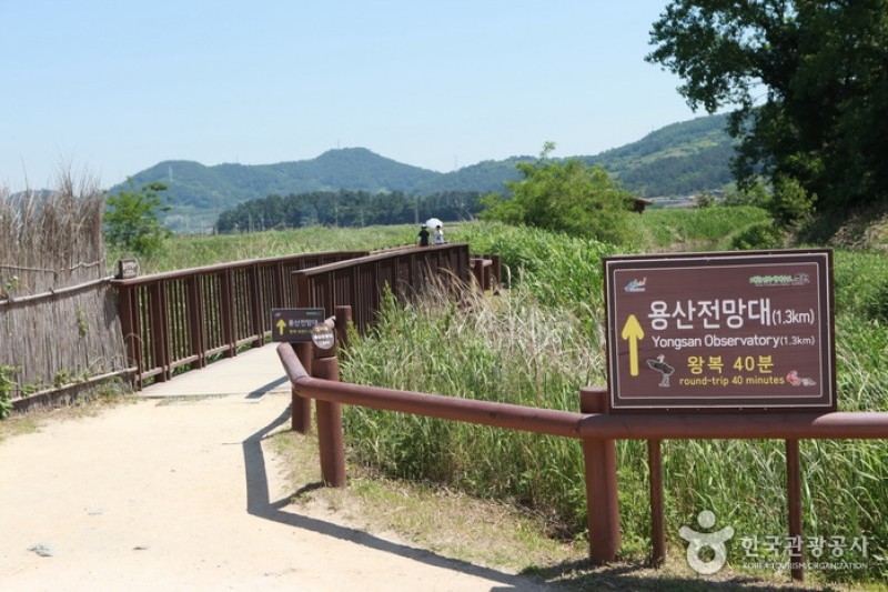 順天龍山展望台（순천용산전망대 (8/9)
