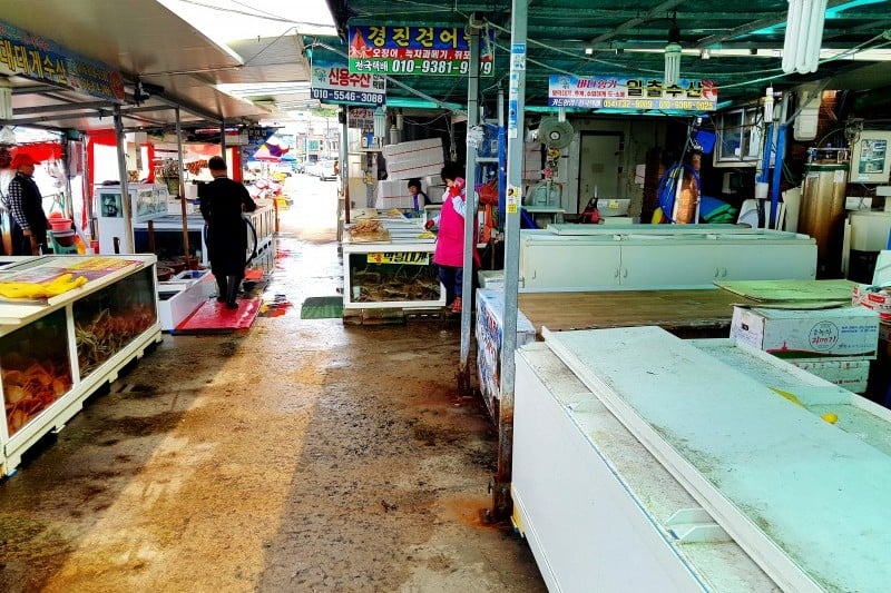 江口港 (30/31)