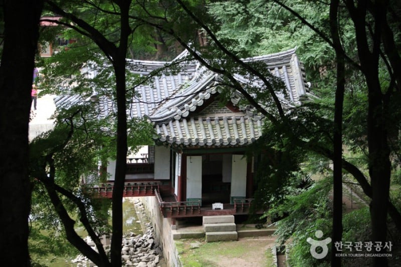 昌徳宮と後苑 (21/25)