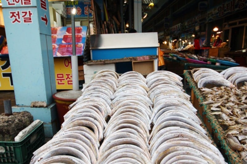 木浦総合水産市場 (19/22)