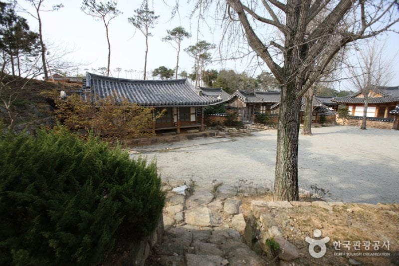 霊岩鳩林伝統韓屋村 (5/42)