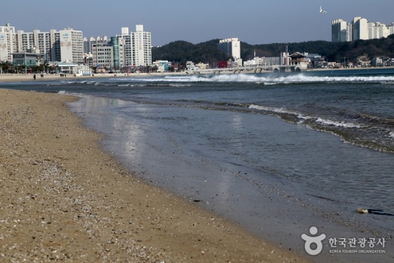迎日台海水浴場 (29/29)