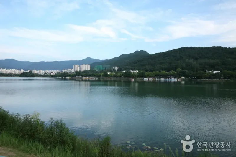 寿城遊園地 (3/6)