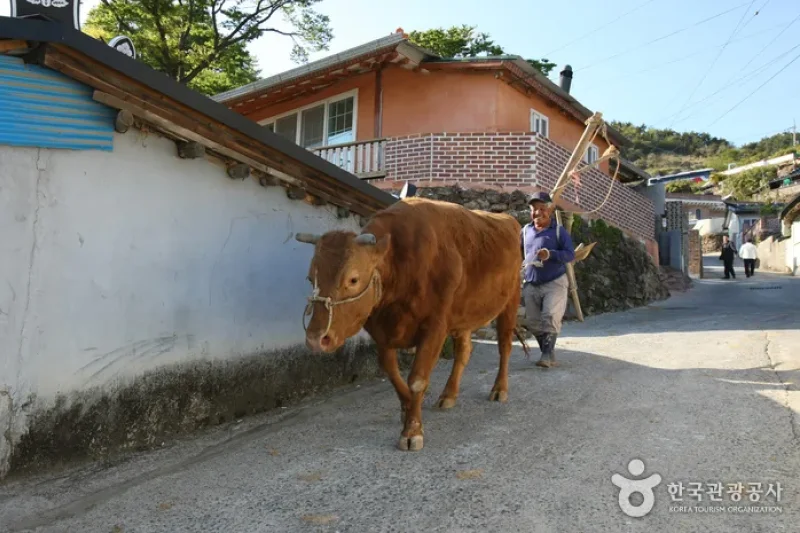 南海加川村（남해 가천마을） (8/25)