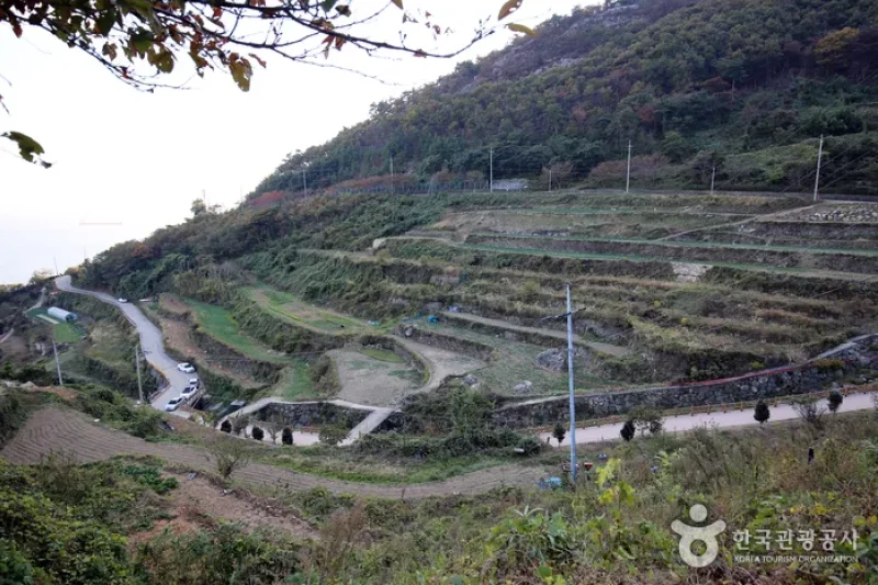 南海加川村（남해 가천마을） (23/25)