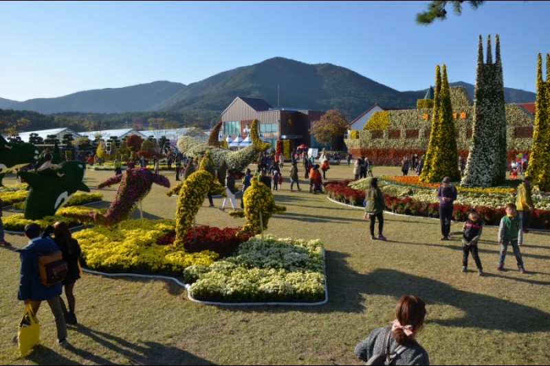 巨済島花祭り (4/9)