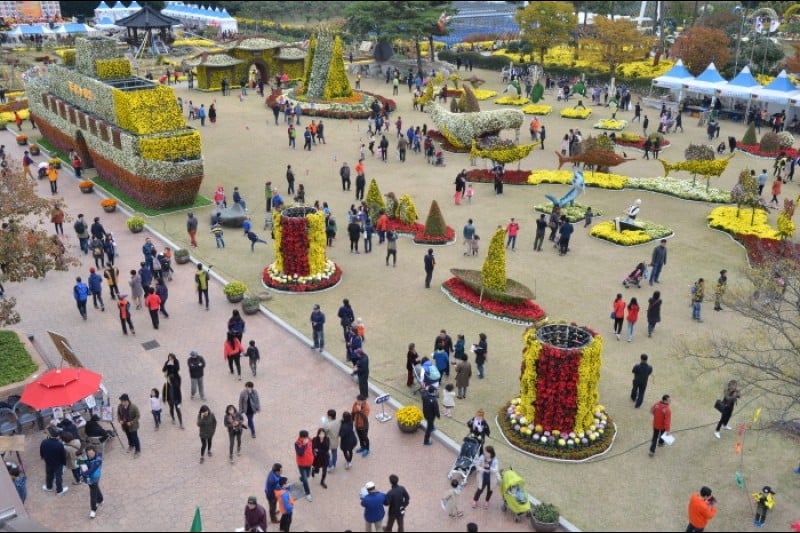 巨済島花祭り (5/9)