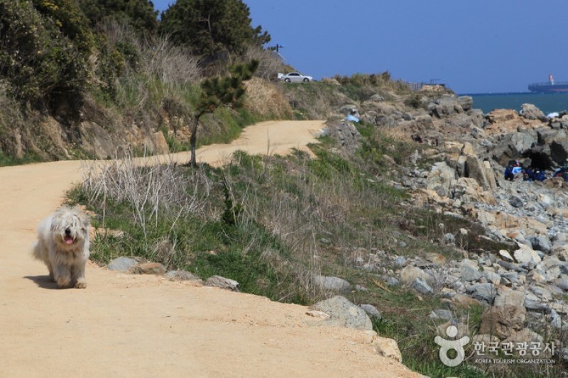瑟島 (30/72)