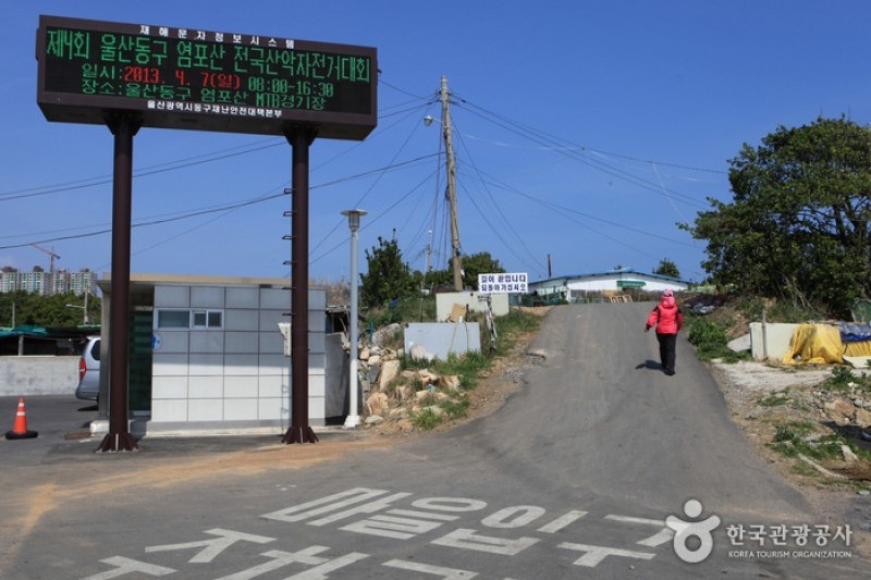 瑟島 (32/72)