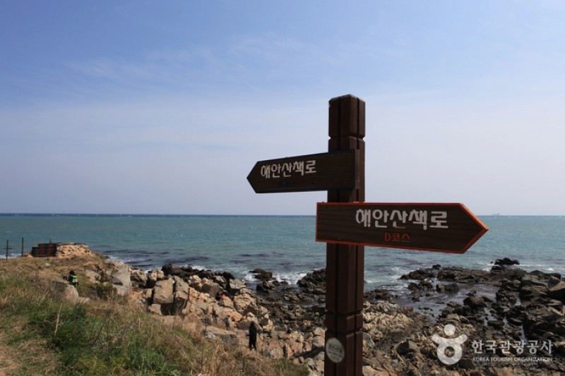 瑟島 (33/72)