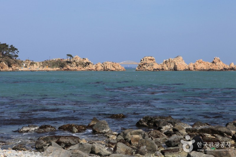 瑟島 (35/72)