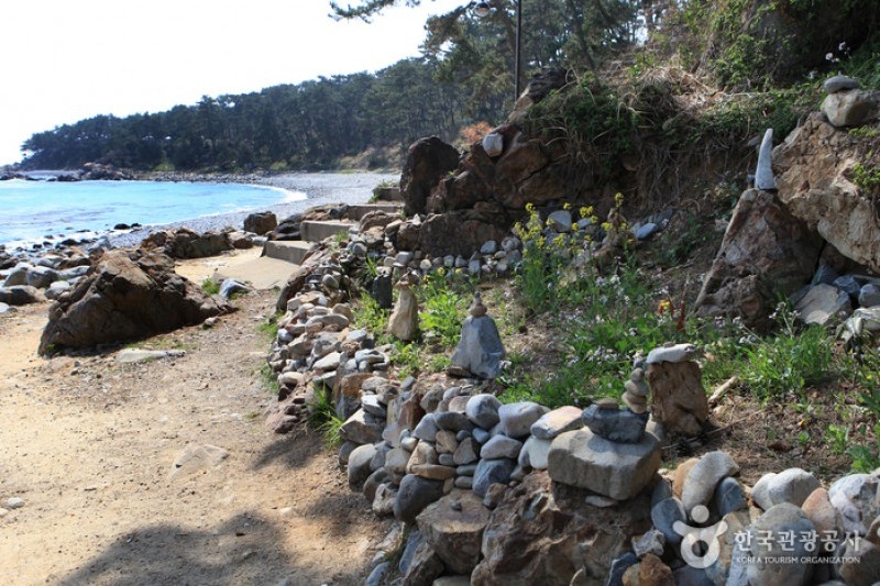 瑟島 (41/72)