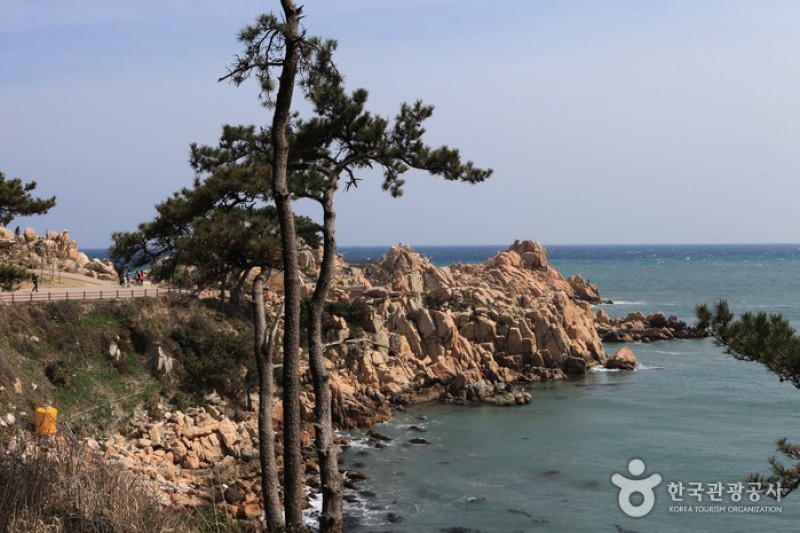 瑟島 (42/72)