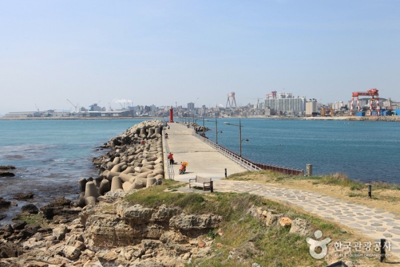 瑟島 (56/72)