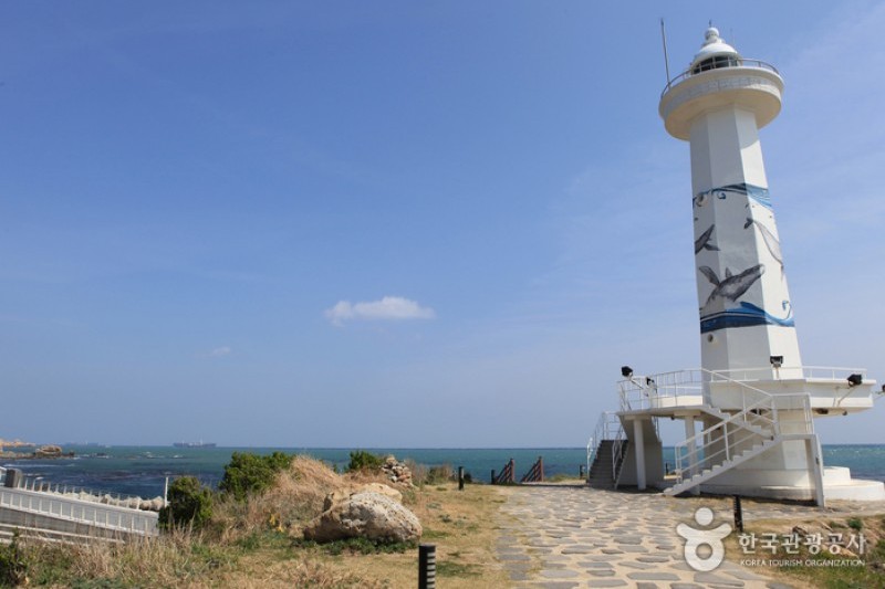 瑟島 (60/72)