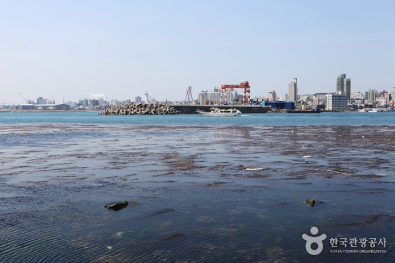 瑟島 (64/72)
