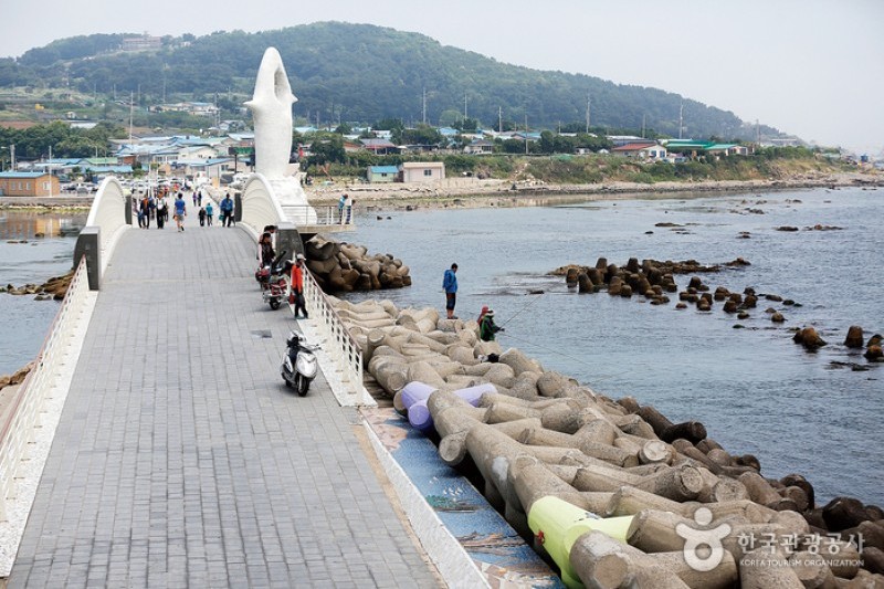 瑟島 (70/72)