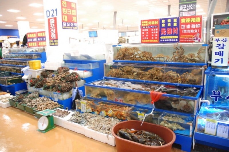 鷺梁津水産市場 (2/18)