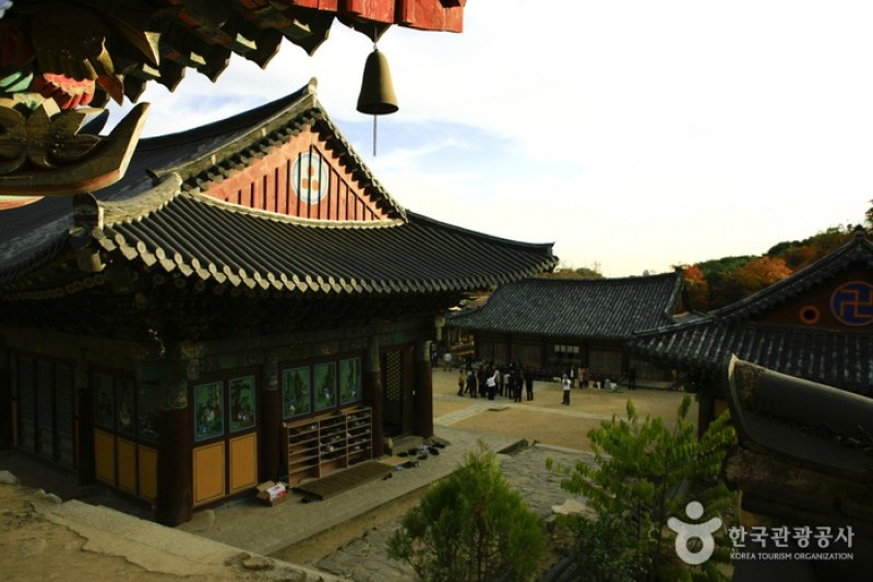 桐華寺 (8/14)