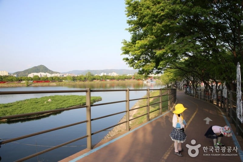 黄金の鱗テーマ通り（孔之川公園） (6/6)