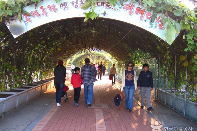 国立中央科学館 (27/44)
