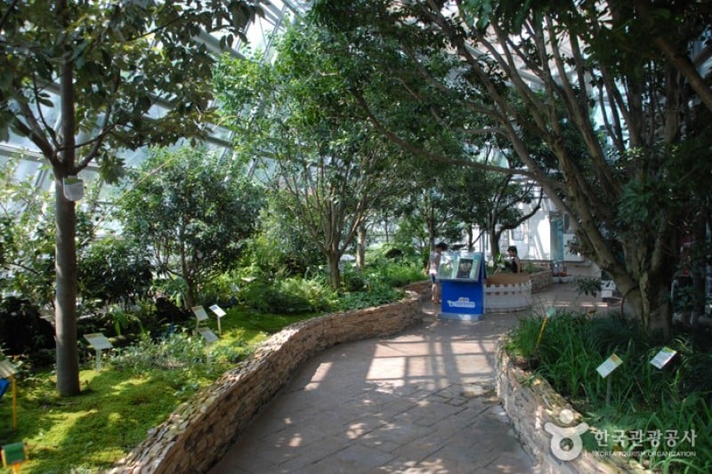 国立中央科学館 (33/44)