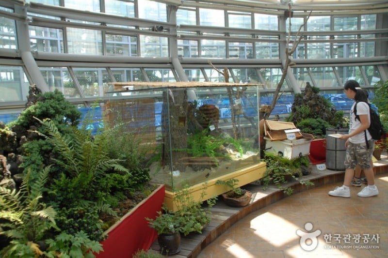 国立中央科学館 (35/44)