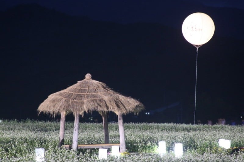 平昌孝石文化祭り (7/7)