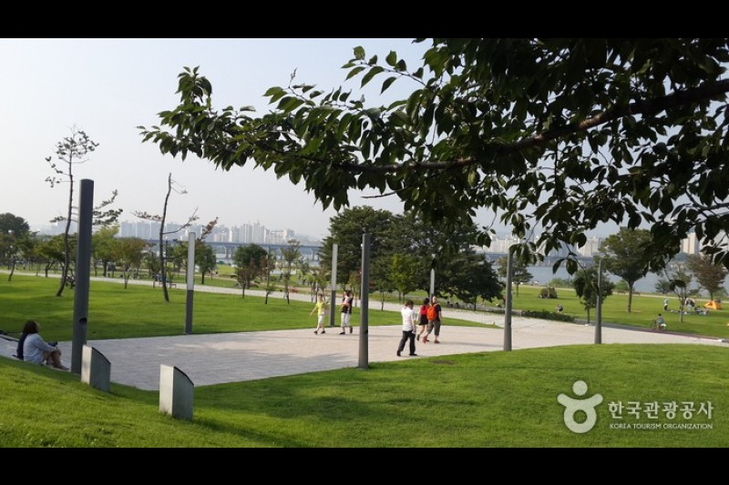 漢江市民公園 汝矣島地区（汝矣島漢江公園）한강시민공원 여의도지구 (7/12)