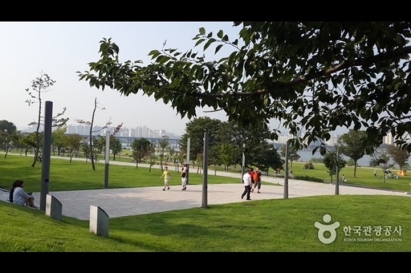 漢江市民公園 汝矣島地区（汝矣島漢江公園）한강시민공원 여의도지구 (8/12)