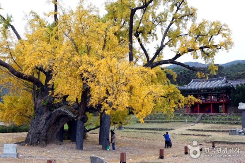 道東書院 (5/8)