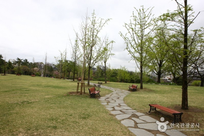 大邱達城公園 (2/24)