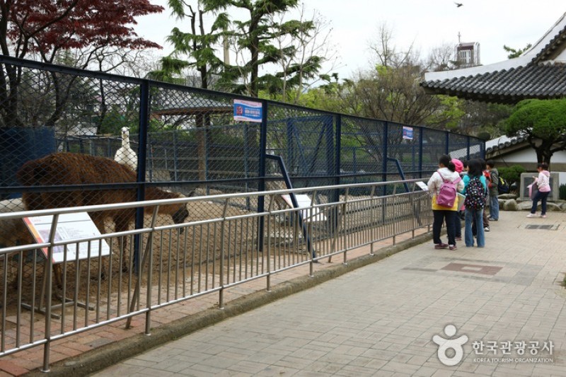 大邱達城公園 (5/24)