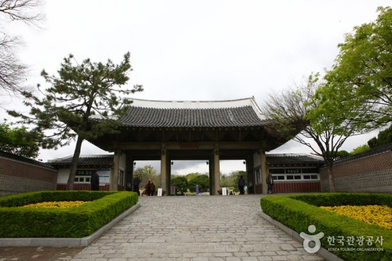 大邱達城公園 (6/24)