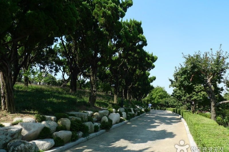 大邱達城公園 (8/24)
