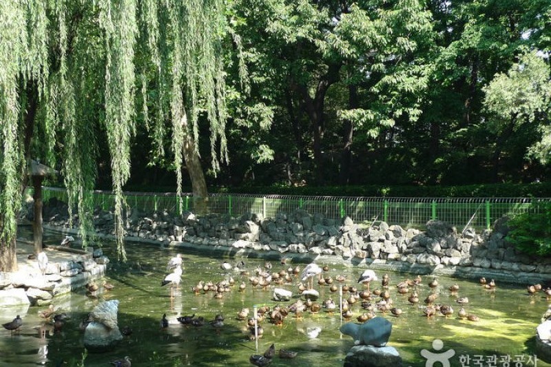 大邱達城公園 (12/24)