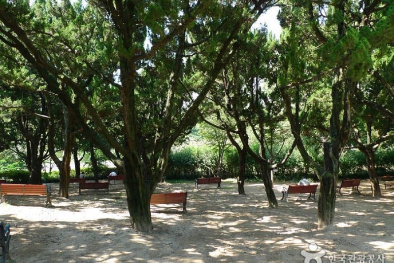 大邱達城公園 (14/24)