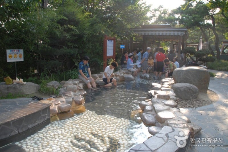 儒城温泉地区 (2/15)