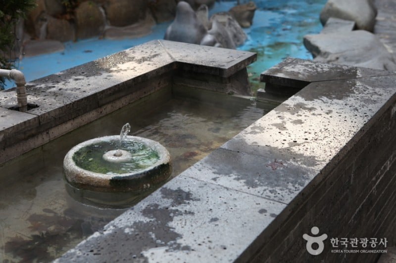儒城温泉地区 (11/15)