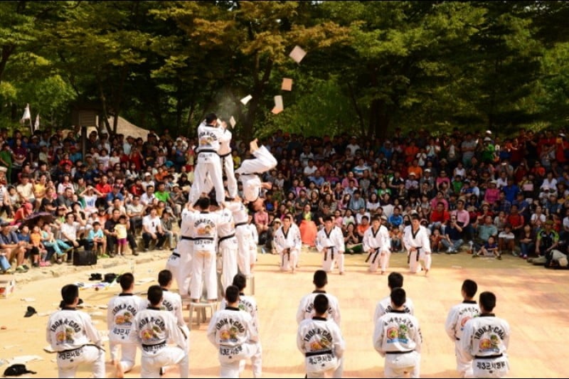 韓国民俗村ハンガウィ大祭り (12/12)