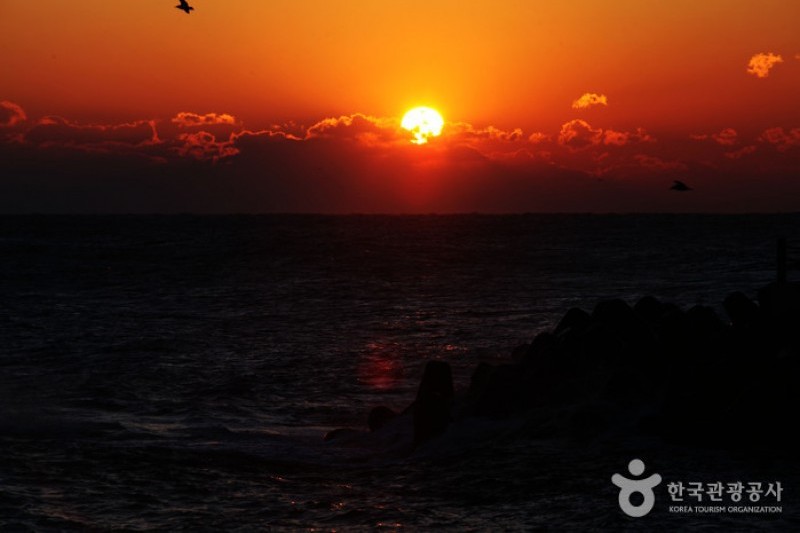 江陵 鏡浦海岸 (11/13)