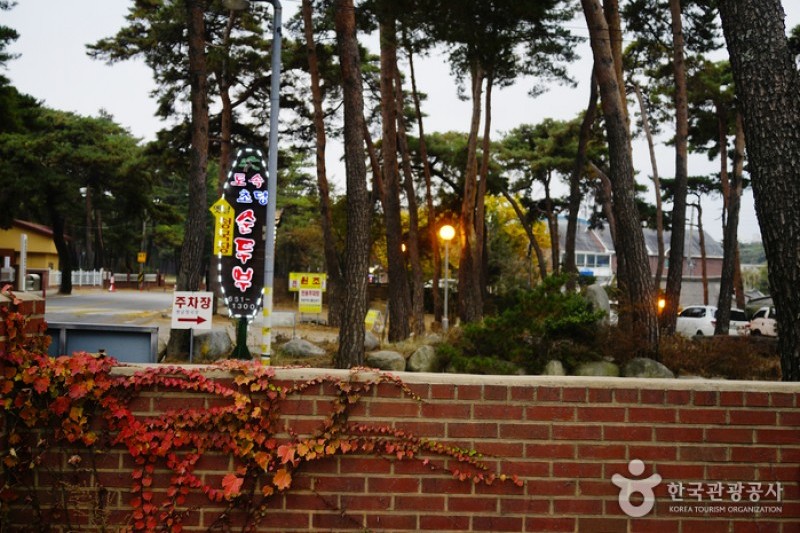 草堂スンドゥブ村 (2/6)