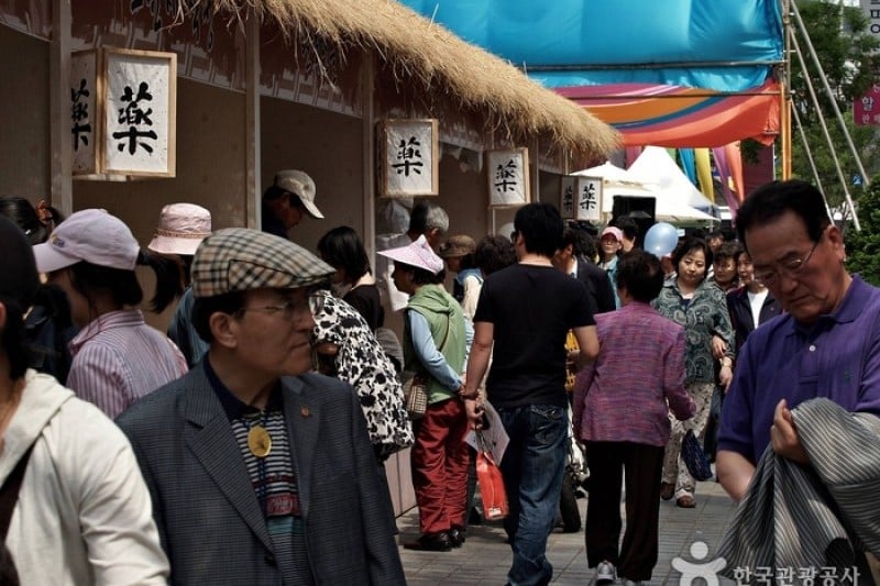 大邱薬令市韓方文化祭り (21/21)