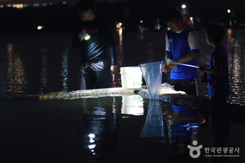 武昌浦 神秘の海割れ祭り (3/8)