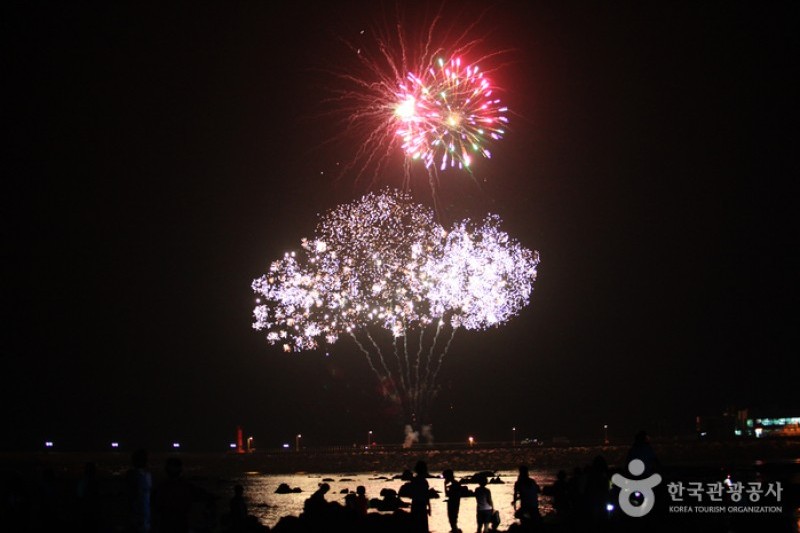 武昌浦 神秘の海割れ祭り (5/8)
