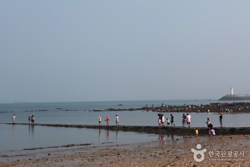 武昌浦 神秘の海割れ祭り (7/8)