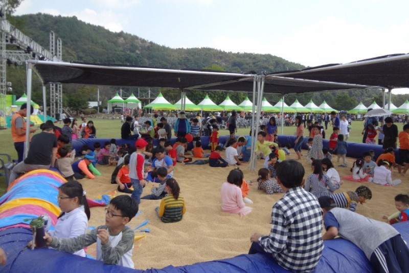 光山韓国麦文化祭り (11/14)