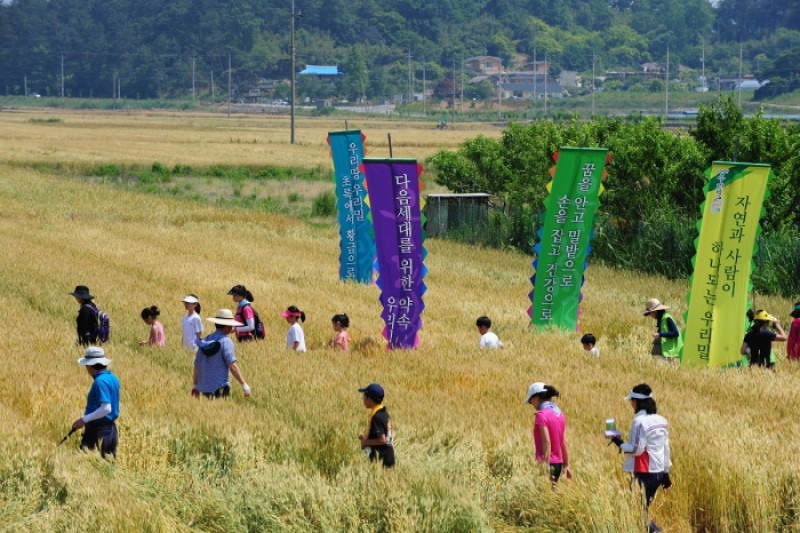 光山韓国麦文化祭り (13/14)